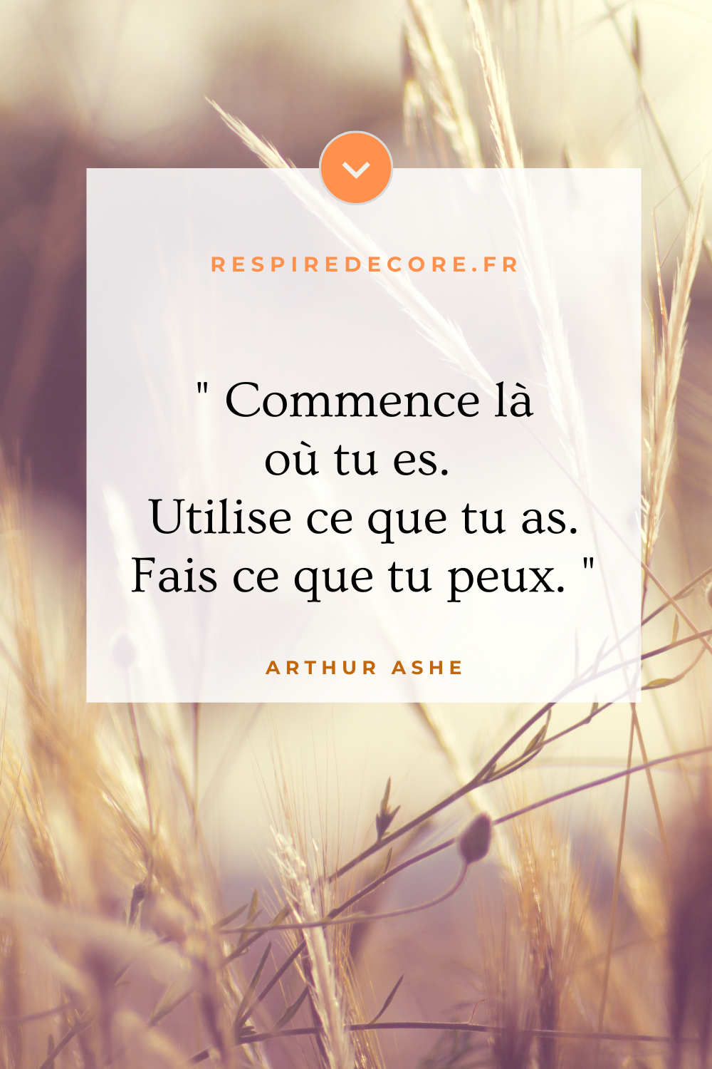 Citation pour commencer son business