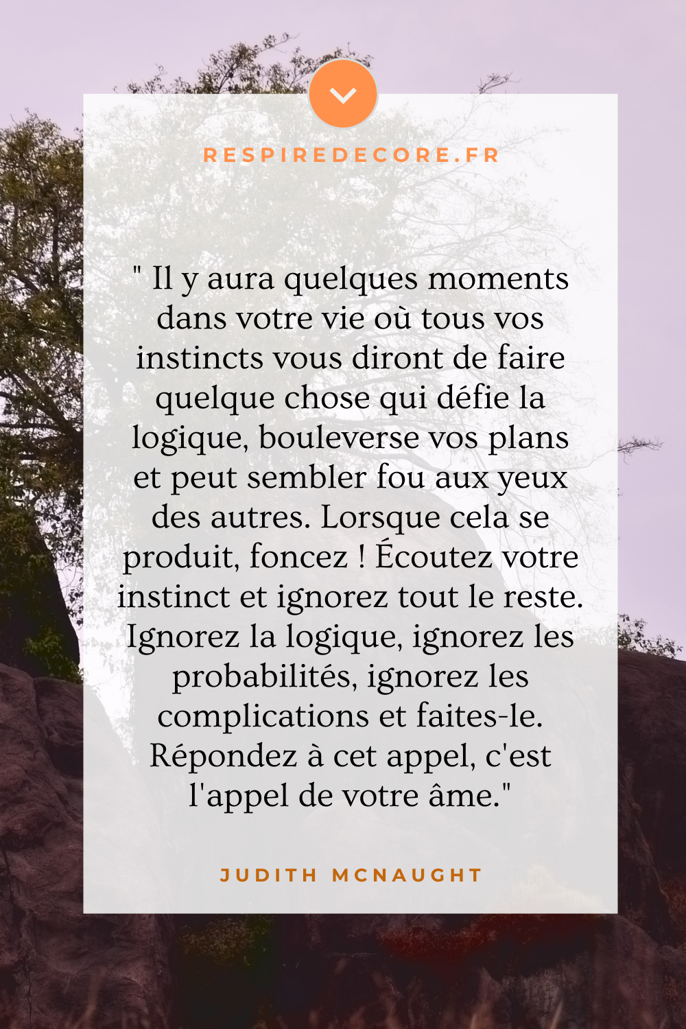 Citation pour écouter son instinct
