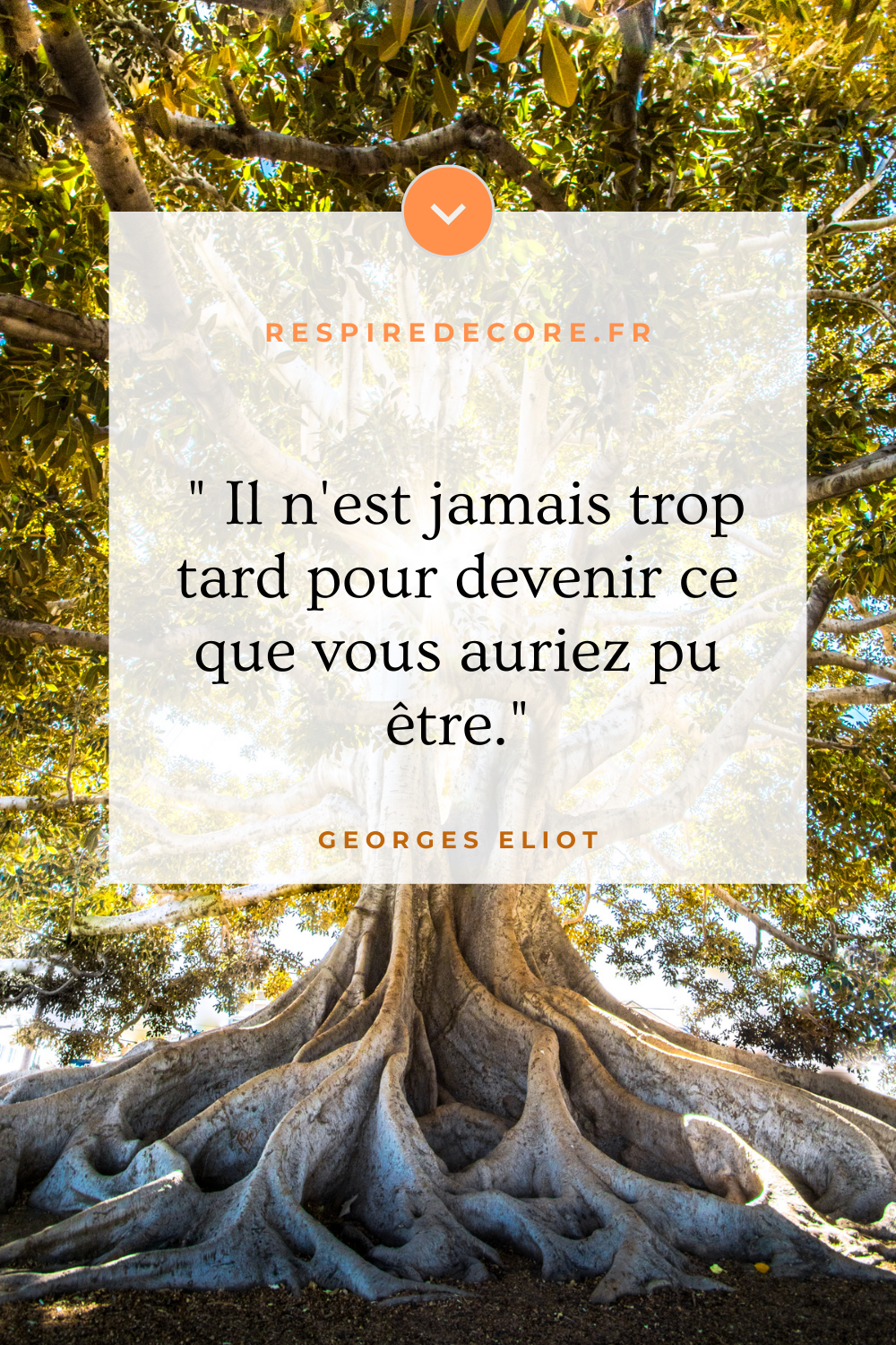 Il n'est jamais trop tard