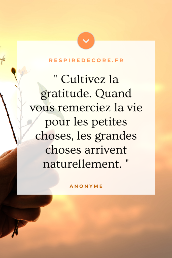 Citation bien-être sur la gratitude