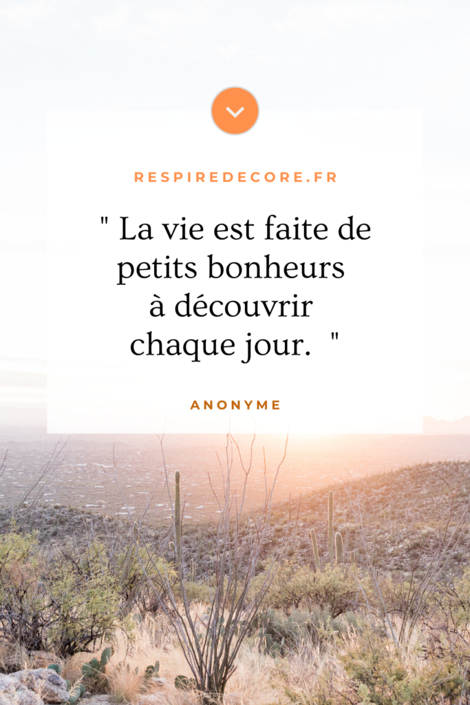 Citation sur le thème de la joie de vivre