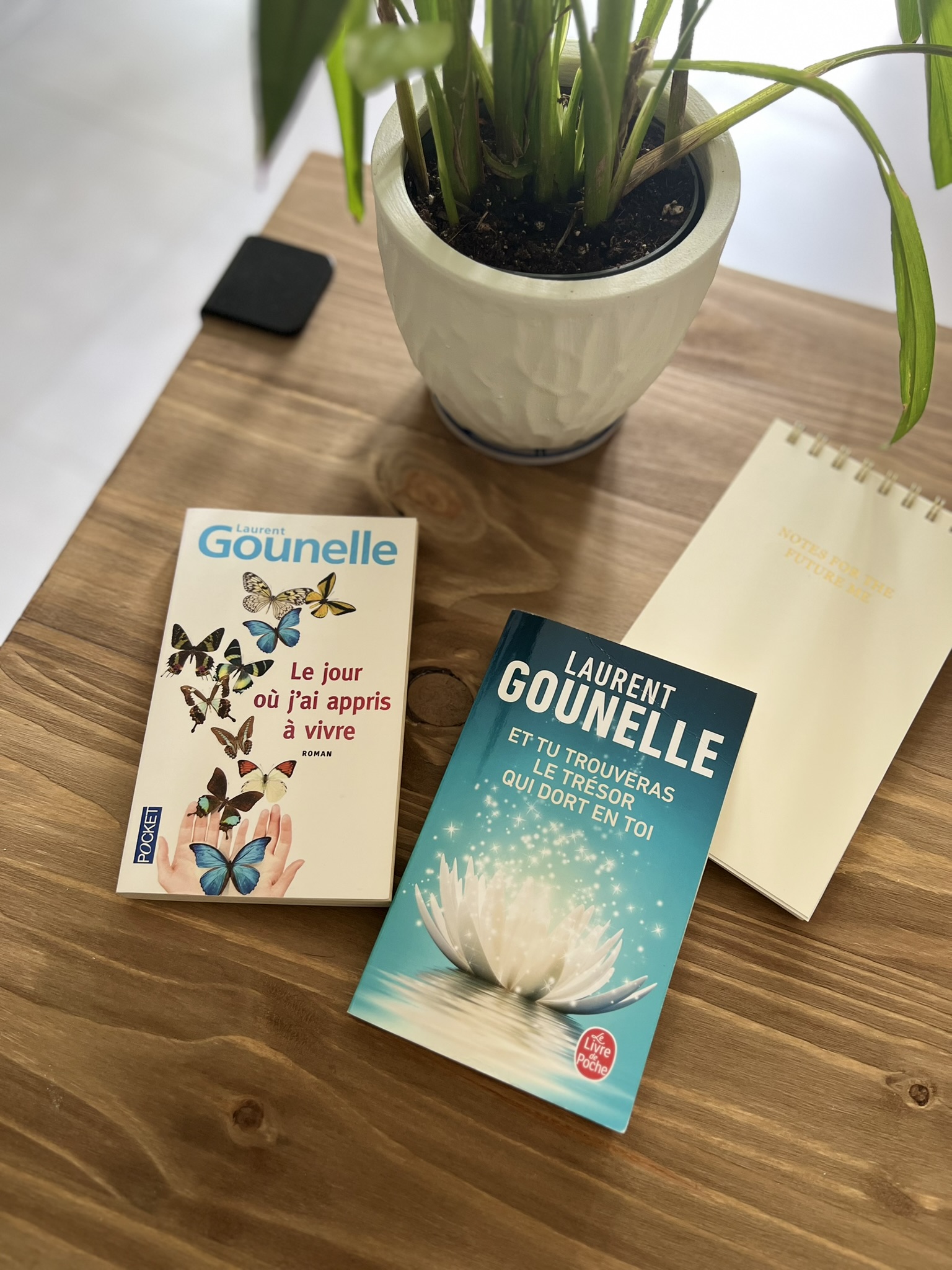 Photos montrant des livres de Laurent Gounelle